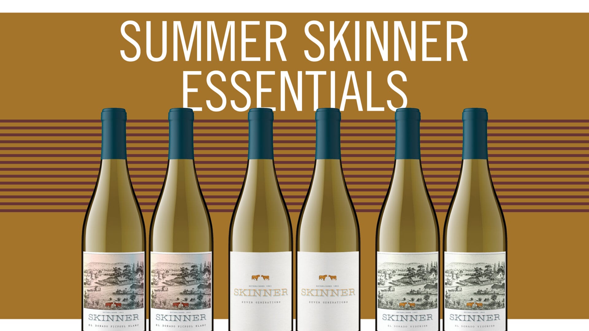 Summer Skinner Essentials