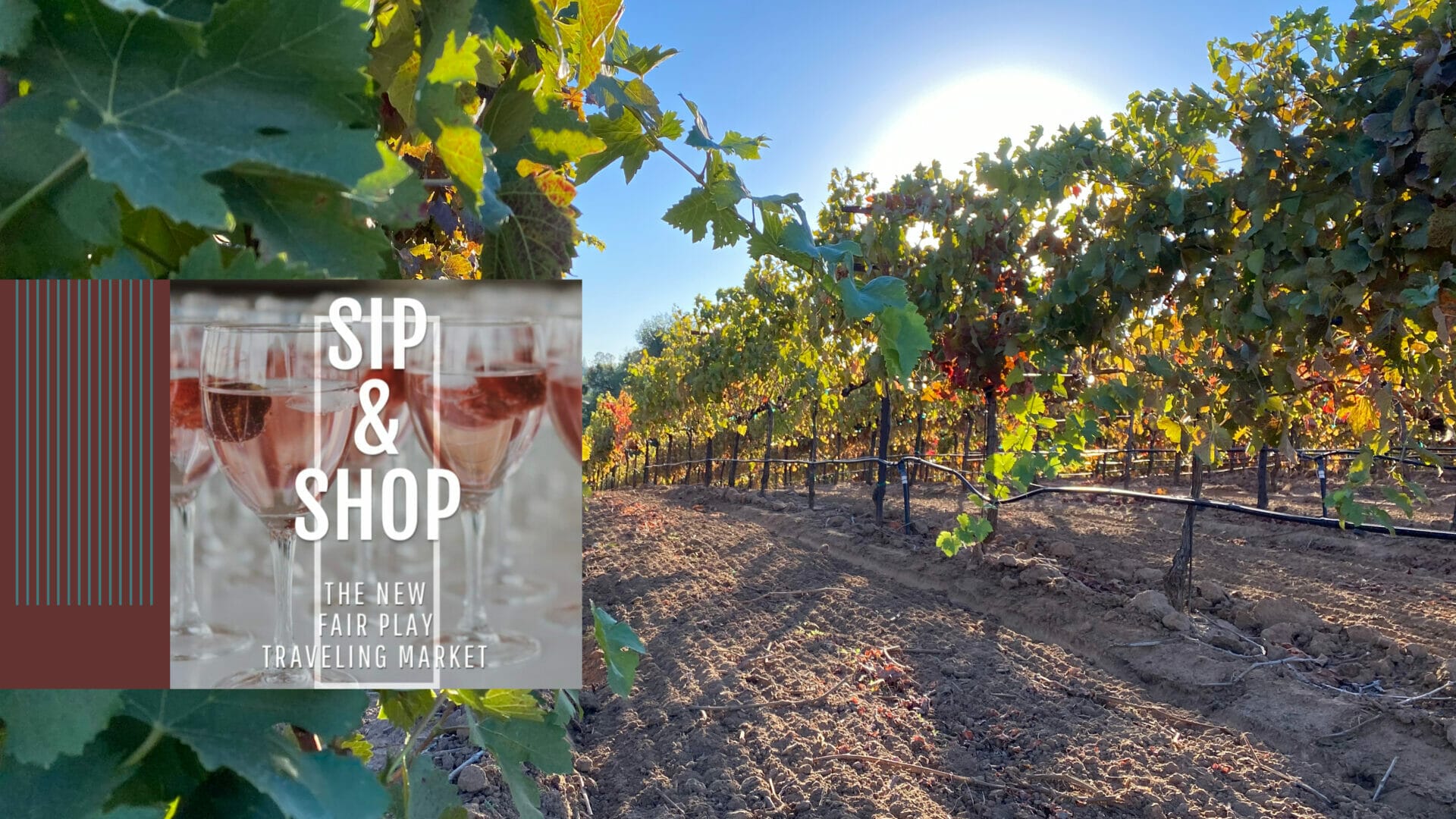 Sip and shop logo in a vineyard