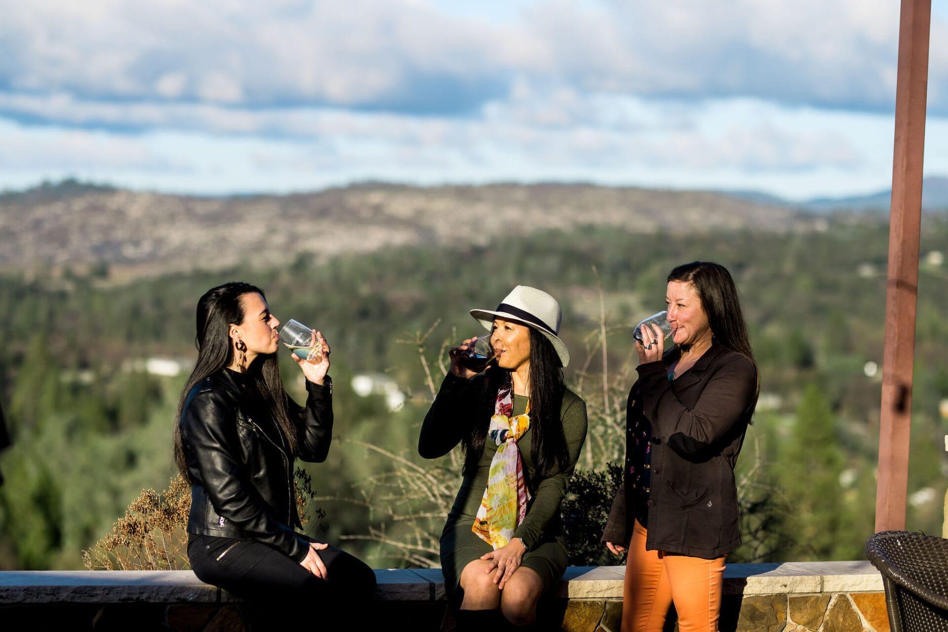 three women enjoying wine in the park